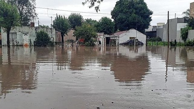 Viale alerta que no organiza colecta para ayudar a inundados