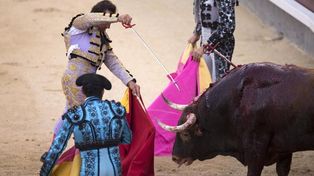 Los toreros se sienten amenazados y se movilizan rompiendo viejas costumbres