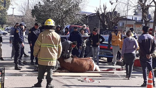 Fotos: Gentileza Bomberos Voluntarios de Paran&aacute;
