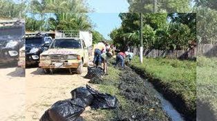 Hace un año que un grupo de jóvenes limpia Bº Scarafía