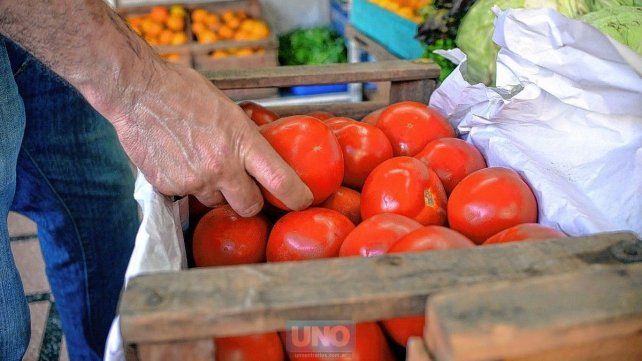 Aislaron plantación de tomate en Entre Ríos por virus rugoso