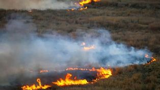 Gualeguay y Victoria reportaron incendios activos
