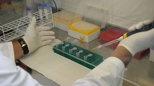 Achique. Se deshizo el Plan Argentina Innovadora que buscaba dar mayor protagonismo a la ciencia en el país.