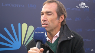 Aapresid alerta que sigue cayendo la adopción de siembra directa en Argentina