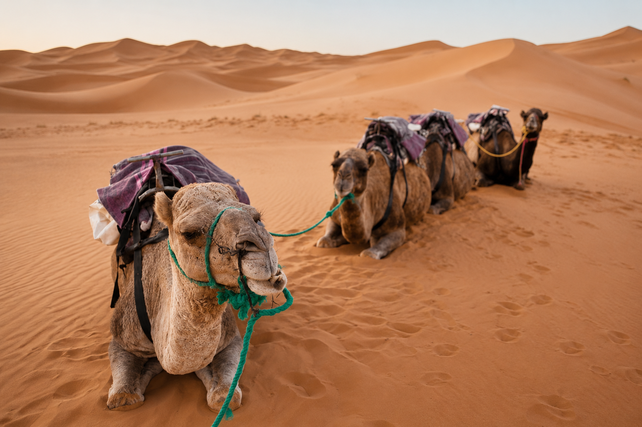 Marruecos ofrece tradiciones ancestrales y paisajes contrastantes a poca distancia de Europa.