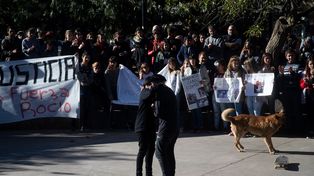 Un skate en el que nadie tiene ganas de andar.&nbsp;