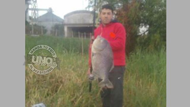 ¡¿Esta sí es una palometa gigante?!