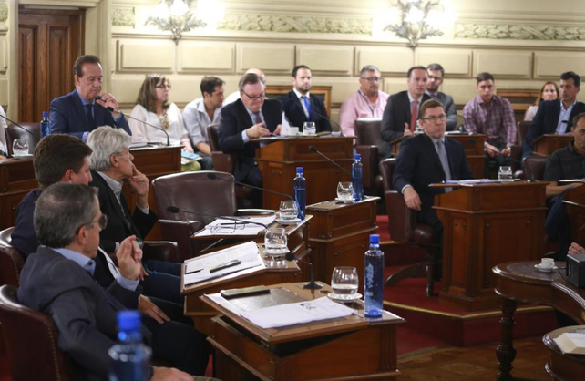 La Cámara de Senadores insistirá con la media sanción original de la ley de necesidad.