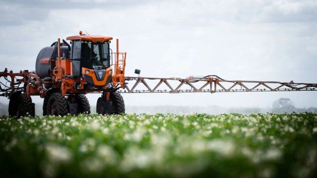 Origen vegetales MMcDonalds&nbsp;