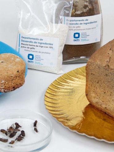 Fideos de grillo: una fuente de proteínas alternativa que busca crecer en Argentina