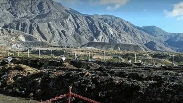 Una jauría mató un trabajador en San Juan