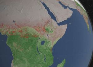 El 70 por ciento de los incendios forestales se produce en los pa&iacute;ses africanos
