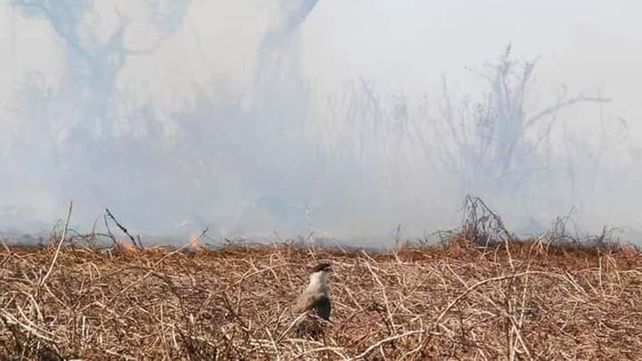 Las islas frente a Victoria son territorio de incendios