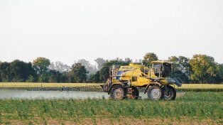 Los vecinos de Sastre ganaron la batalla judicial e impidieron las fumigaciones con agroquímicos.&nbsp;