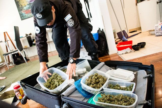 Entre lo secuestrado en los allanamientos había una importante cantidad de marihuana.