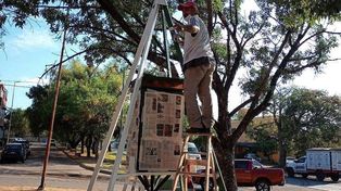 Obras. De pintura y herrería se llevaron adelante para embellecer el templete.