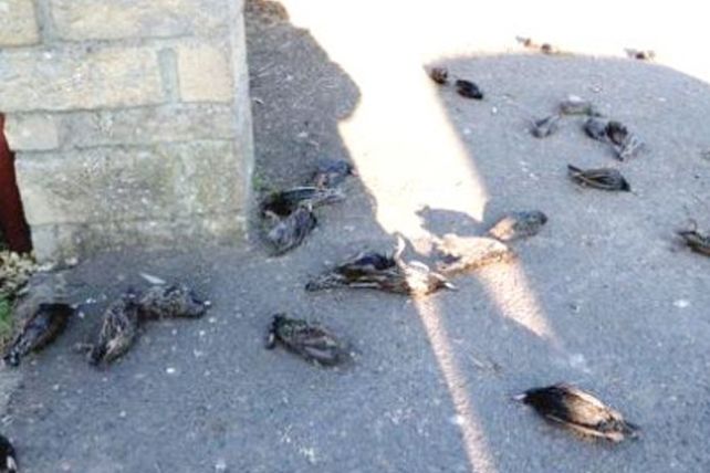 ¡Lluvias imposibles! 10 objetos insólitos que cayeron del cielo