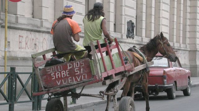 Proteccionistas aportaron modificaciones al proyecto de Erradicación de la Tracción a Sangre en Paraná