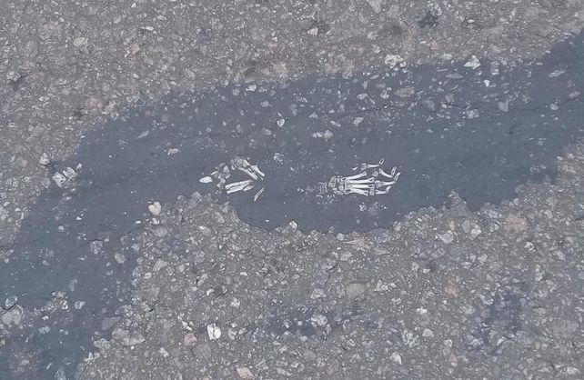 Las fotos tomadas por las asistentes escolares de Calchaquí