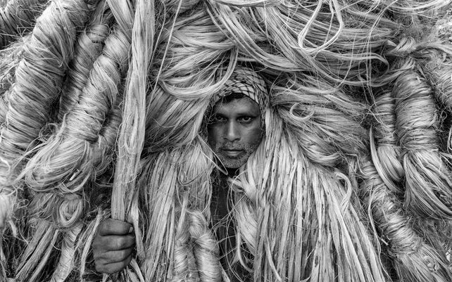 El hombre de fibras doradas
