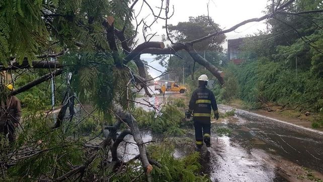Casi un millar de familias fueron asistidas por una lluvia histórica