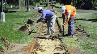Tren Urbano: se licitan las obras para la construcción de los apeaderos
