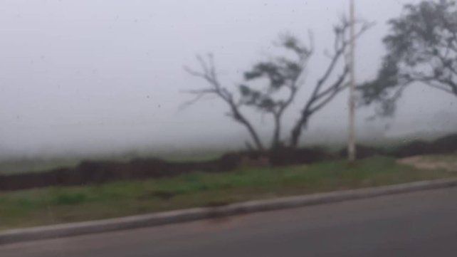 Un manto de niebla cubre gran parte de Entre Ríos