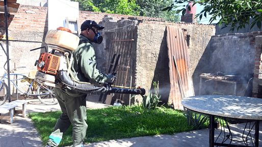 En sólo una semana aumentaron 112% los casos de dengue en Santa Fe y suman 1.269 en el año