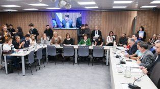 Las comisiones de Discapacidad y de Acción Social y Salud Pública de la Cámara de Diputados de la Nación tratan, las emergencias en Discapacidad y Pediátrica
