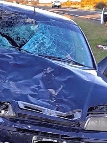 Nuevamente un animal suelto en la ruta 14 generó un accidente