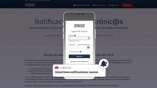 La utilización de esta herramienta de comunicación digital propicia la despapelización en el Tribunal de Cuentas con la reducción de costos operativos y tiempos