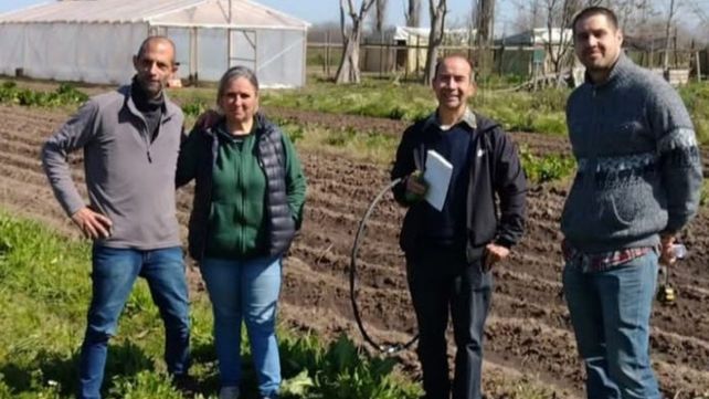 Agroecología en acelgas: más nutrientes, menos agroquímicos