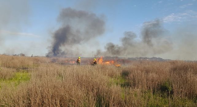 El trabajo de Bomberos Voluntarios de Paraná en los incendios