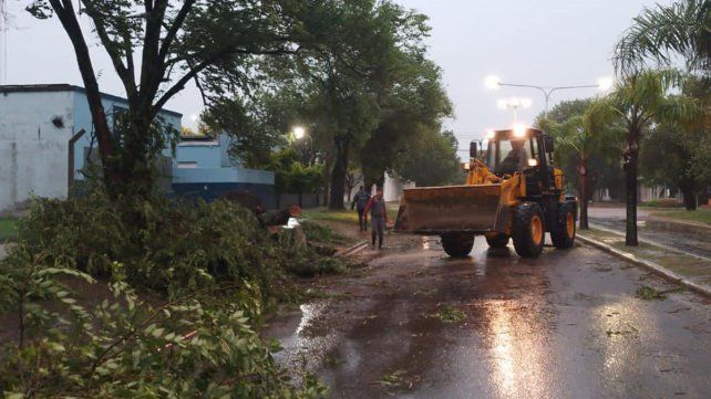 El fuerte temporal que azotó a Basavilbaso provocó la caída de árboles y postes de luz. Una pareja fue socorrida por bomberos.