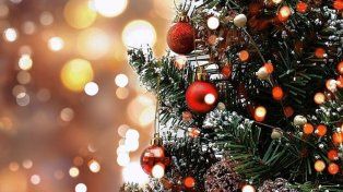 ¿Por qué se arma el 8 de diciembre en la Argentina el árbol de Navidad?