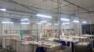 Trabajadores del frigorífico Euro reactivan la producción tras seis meses sin cobrar