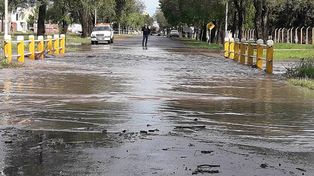 Gentileza Sergio Dante Moreira