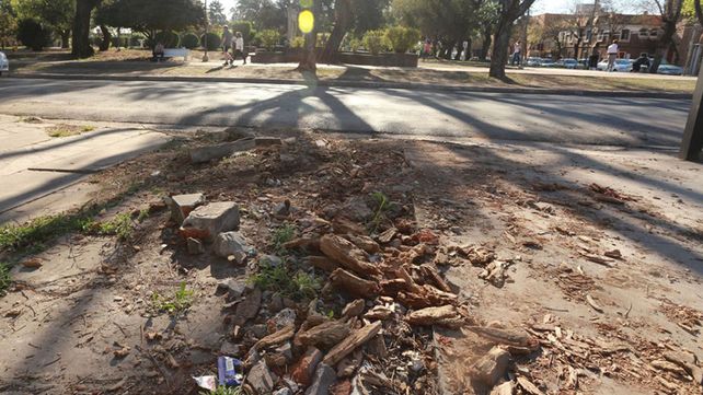 El &aacute;rbol que cortaron en calle Yrigoyen frente a la plaza de S&aacute;enz Pe&ntilde;a.&nbsp;