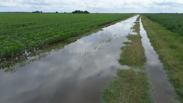 En los departamentos del norte de Santa Fe solo pudieron concretarse