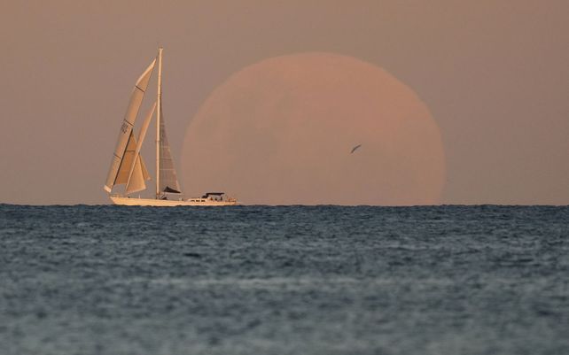 Un yate navega cuando la luna sale en Sydney . Un eclipse lunar total