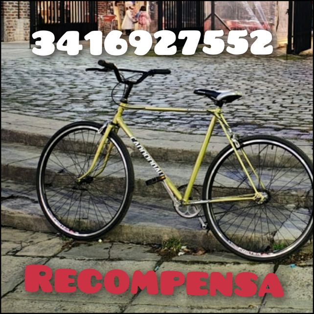 Una bicicleta robada y la conmovedora historia por la cual su dueña busca recuperarla
