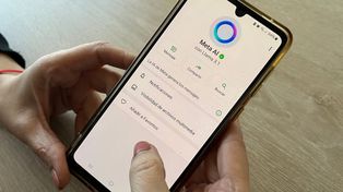 No, no se puede desactivar el nuevo chatbot de IA de Whatsapp.