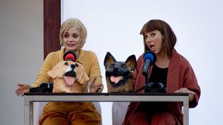El texto cervantino, con humor y una mirada actual.