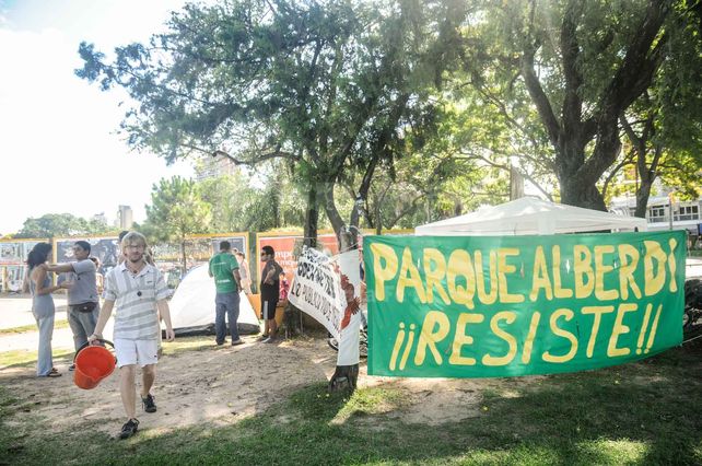 Plantaron un sauce llorón en el Alberdi