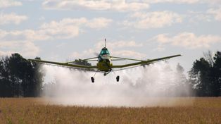 Vuelos peligrosos. Argentina, en proporción por habitantes, es el país que usa más agroquímicos en el mundo.