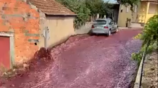 Dos millones de litros de vino tinto inundaron las calles de un pueblo de Portugal