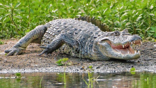 La reserva La Chinita se sitúa en Villaguay