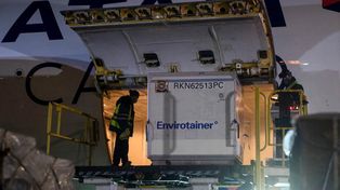 Arribaron más dosis de AstraZeneca y el país llegó a los 25 millones de dosis