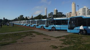Renovación de colectivos en Rosario: dos líneas recibirán 25 unidades nuevas