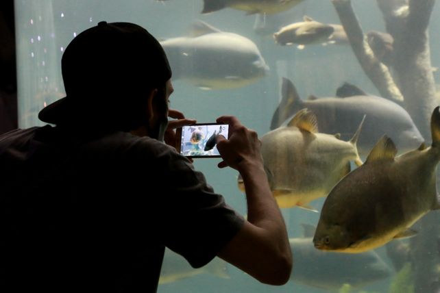 Las visitas guiadas proponen ver y aprender sobre las especies y sus hábitos